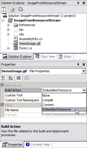 The Properties grid for the Embedded Image