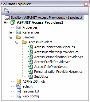 The Solution Explorer for the Access Providers Project